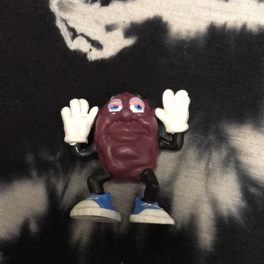 California Raisins - Picture 8 of 16
